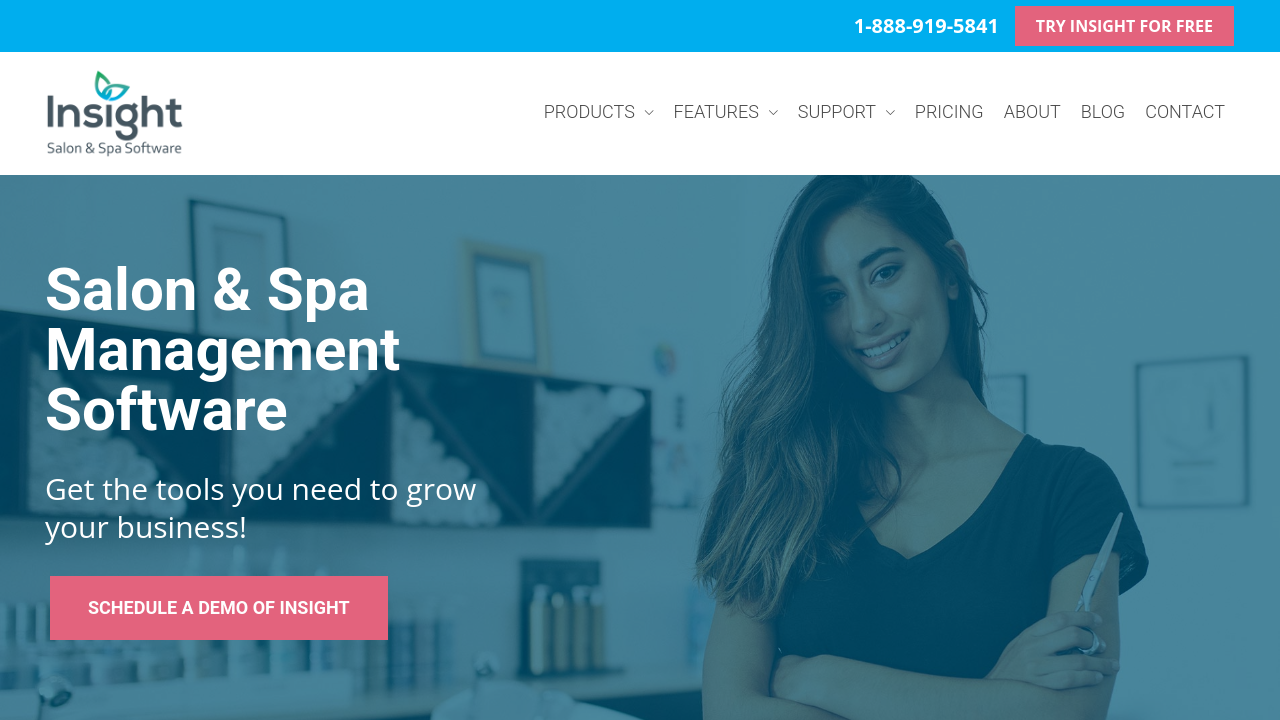Insight Salon Software